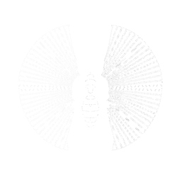 Digital Naturalism Laboratories